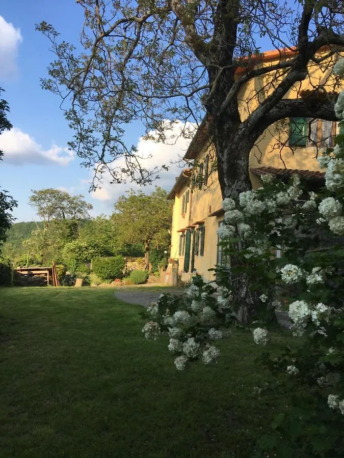 Welcome In Toscana Polcanto 公寓
